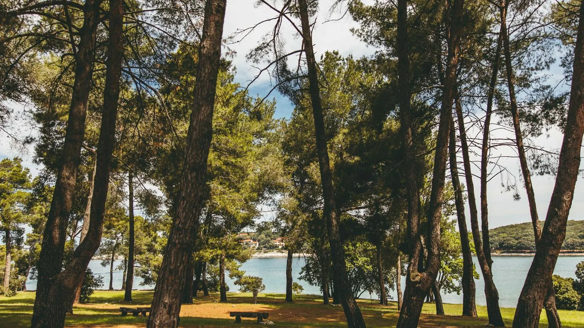 Maistra Camping Koversada Uncovered Naturist Pitches Vrsar Campsite