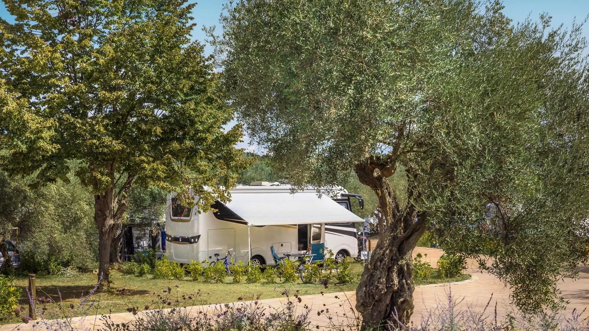 Campsite Maistra Camping Koversada Uncovered Naturist Pitches Vrsar